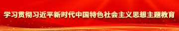 能看男女操逼学习贯彻习近平新时代中国特色社会主义思想主题教育